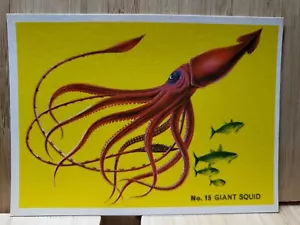 WEET BIX Deep Sea Wonders🏆1965 #15 GIANT SQUID Card🏆FREE POST - Picture 1 of 2