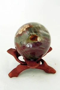 BUTW Arizona Petrified Wood 70mm Diameter Lapidary Healing Sphere 1369R - Picture 1 of 3