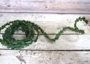 Mini Boxwood Dollhouse Garland Ivy Vine Leaf Foliage Plant Artificial Leaf BTY - Picture 1 of 3