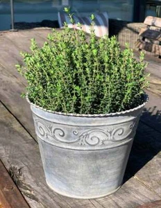 Zink Blumentopf Rund Verzierung Vintage-Stil Pflanztopf Landhausstil Grau - Afbeelding 1 van 11