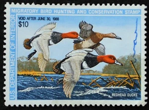U.S. Used Stamp Scott #RW54 $10 Federal Duck Hunting. Very Fine. Choice! - Picture 1 of 2