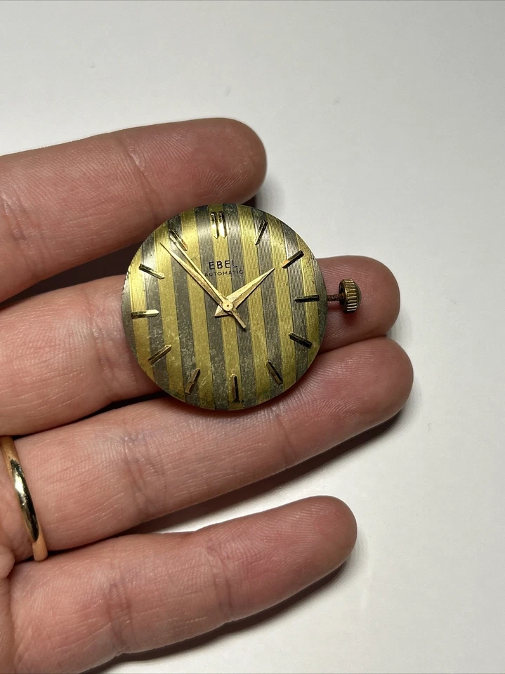 Movimiento Reloj Suizo Hombre EBEL 5 Posiciones 17J Automático Foto 1 de 4