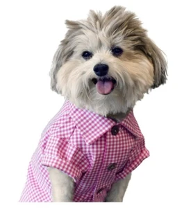 NEW, XS Button Up Dog Shirt By Dog Threads, Raspberry Gingham - Picture 1 of 9