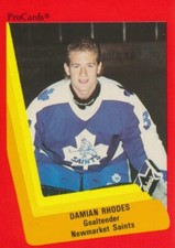 1990-91 ProCards AHL/IHL #167 DAMIAN RHODES - Newmarket Saints