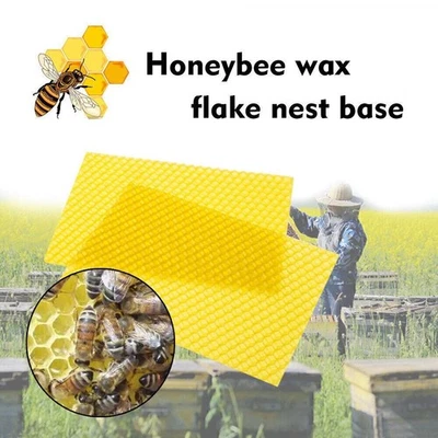 10/30PCS Natural Apis Sheets Bee Frames Honeybee Wax Flake Nest Beekeeping Tool - Image 1 of 4
