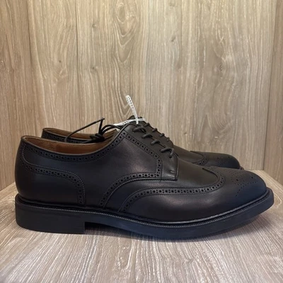 Sapato Oxfords Polo Ralph Lauren Asher Ponta Asa Masculino Tamanho 14 Marrom Escuro $195 NOVO - Imagem 1 de 4