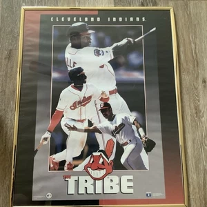 1994 Cleveland Indians MLB gerahmtes Bild THE TRIBE 16" x 20" Albert Belle Vintage - Bild 1 von 8