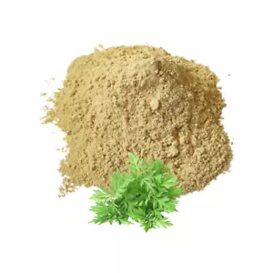 100% Pure Mugwort Powder Wormwood Sweet Annie Artemisia Annua Thai Herb Tea GMP - Picture 1 of 8