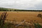 Photo 6x4 Harvest done Blairninich The large rolls of hay await collectio c2009