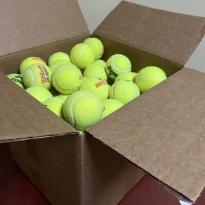 100 Lightly Used Tennis Balls - FREE SHIPPING! - Picture 1 of 7