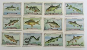 TOPICAL CINDERELLAS CAILLER FISH 1930-1940 MNH - Picture 1 of 2