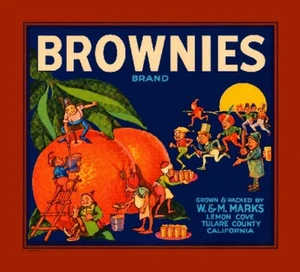 Lemon Cove Tulare Brownies #1 Orange Citrus Fruit Crate Label Vintage Art Print - Picture 1 of 1