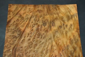 Camphor Burl Raw Wood Veneer Sheet 12 x 12 inches 1/42nd thick 4672-81 - Picture 1 of 10