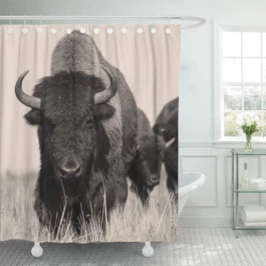 Emvency Decorative Shower Curtain Head Bison Buffalo in Sepia Herd of Shot One A - Picture 1 of 12