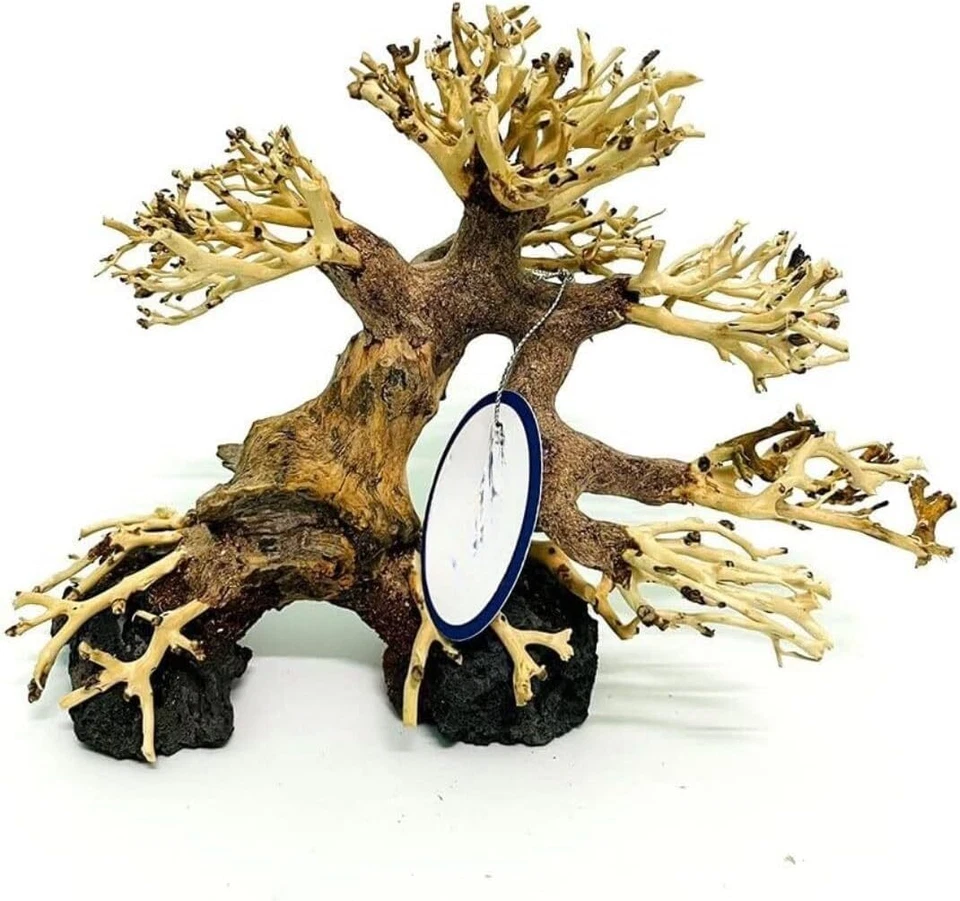 Enchanting 8" Driftwood Bonsai Tree for Aquariums – Handcrafted Natural Aquasc - Image 1 of 4