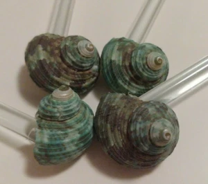 Shell Or Snail Swizzle Sticks Glass Set Of 4 - Picture 1 of 4