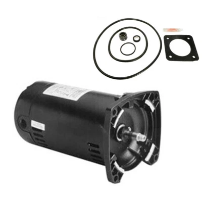 Puri Tech Motor Kit for Sta-Rite Max-E-Glas .75HP PEA6D-120L USQ1072 w/GO-KIT-54 - Image 1 of 3