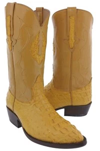 Buttercup Cowboy elegante Leder Stiefel echtes Krokodil Hornback exotische Haut - Bild 1 von 9