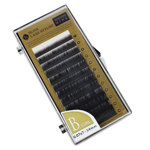 Eyelash Extension Blink Mink B 0.07 Curl 7mm-14mm Mixed Size Tray - Picture 1 of 1