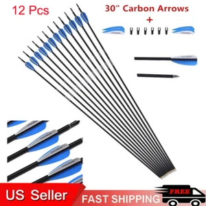 12Pcs 30" Practice Archery Carbon Arrow Sp1000 F Recurve/Compound Bow Hunting US - Picture 1 of 12