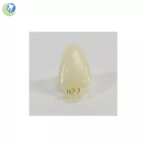 DENTAL POLYCARBONATE TEMPORARY CROWNS #100 (URC) UPPER RIGHT CENTRAL 5/PACK - Picture 1 of 4