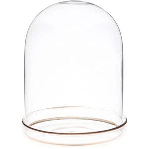 Plymor 4" x 5.5" Glass Dome Cloche w/ Gold Rim (Gold Rim Glass Tray Base) - Picture 1 of 1