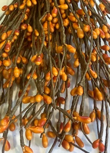 DLCC~FALL 15 PCS PRIMITIVE orange Autumn pip berry picks 7" Rustic Americana - Picture 1 of 5