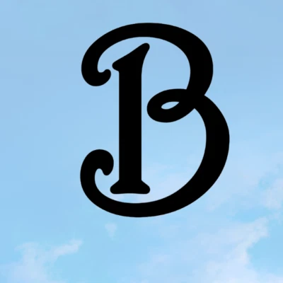 12" Metal Letter-Wedding Decor-Wall Decor-Flat Letters-Rustic Decor-F1002 - Image 1 of 4