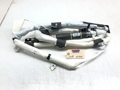 Ford Expedition Navigator 2018-2024 lado del conductor izquierdo techo cortina airbag oe Foto 1 de 4