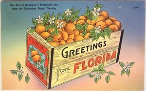Florida Art and Photos reprint mini poster 2 sizes available 011 - Picture 1 of 4