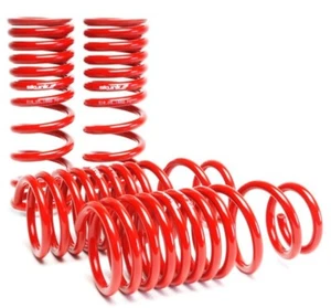 Muelles reductores Skunk2 (2,50 pulgadas - 2,25 pulgadas) (Juego de 4) para Honda Civic/CRX 88-91 - Imagen 1 de 8