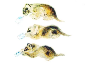1989 Postal rusa PEQUEÑOS LEONES CON SU COMIDA Dibujo de Ye.Charushin - Imagen 1 de 2