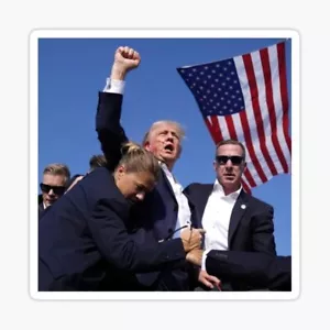 DONALD TRUMP 7/13 Attempted Assassination fist up sticker - Picture 1 of 1