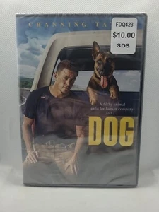 Hund DVD 2022 Gebrochenes Siegel Kostenloser Versand Channing Tatum  - Bild 1 von 7