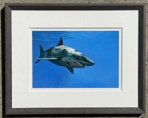 Frenzy by Josh Keyes Framed Art Print Shark 271 of 1000 Limited Edition with COA - Picture 1 of 8