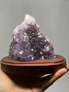 Amethyst On Customized Wood Stand Quartz Druzy Cluster Healing 1LBS 9.2oz N28 - Picture 1 of 12