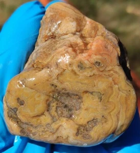 Única muestra de ágata con bandas de jaspe piedra de cristal mineral 6 oz Tennessee  - Imagen 1 de 12