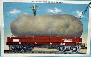 Postcard - oversized exaggerated potato "The Kind we Raise in Maine" train 1947 - Picture 1 of 3