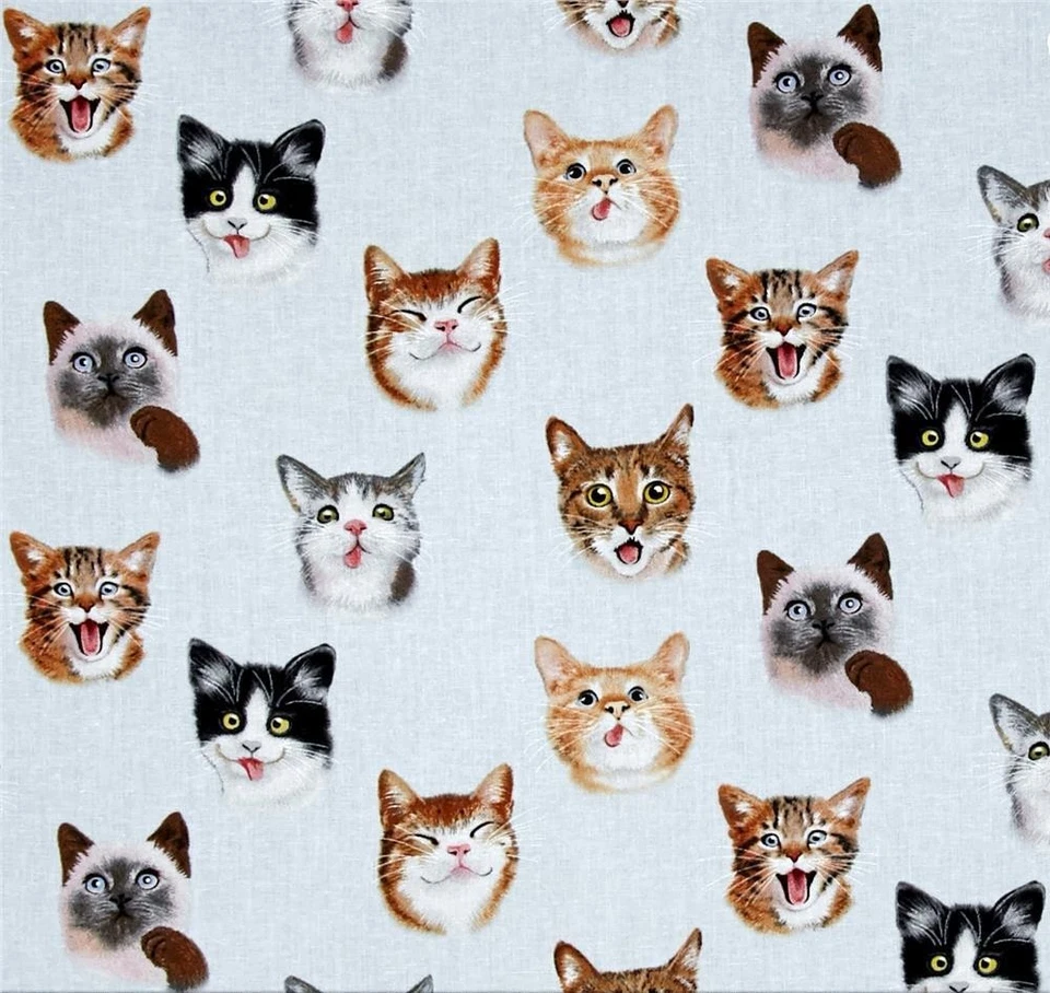 FUNNY FACES GATO SELFIES AZUL CLARO 100% ALGODÓN TELA ELIZABETH STUDIOS Foto 1 de 1