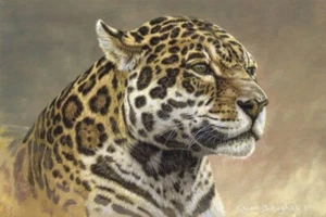Jaguar, Kalon Baughan, Wall Art Print Poster 11" x 14" 1010 - Picture 1 of 1