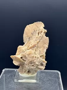 CALCITA PSEUDOMORFA DE YESO Valladolid SPAIN MINERALES COLECCION 7x4x3cms - Imagen 1 de 5