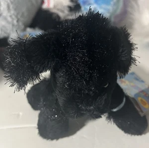 Webkinz Lil Kinz Black Poodle 6” Plush Puppy HS191 W/CODE Stuffed Animal Ganz - Bild 1 von 5