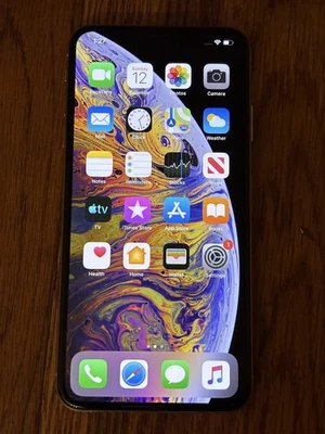 iPhone XS Max Open Box 64GB iOS 12 Silver Cricket - Image 1 of 4