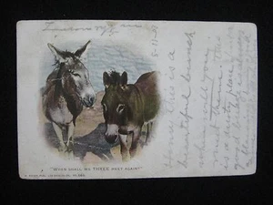 Antike Tier Postkarte Nr. 559, Two Donkeys, 1903 Ashfork & Los Angeles RPO pmk - Bild 1 von 2