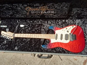 JAMES TYLER USA FULL OPTIONS SICK BIRDSEYE NECK QUILTED MAPLE #941 FLOYD JTO - Picture 1 of 20