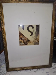 Riva Leviten alias Shamray -- "The Shield" Is - Bild 1 von 2