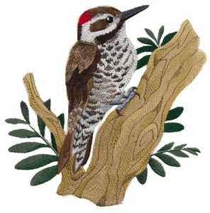 Parche bordado pájaro carpintero Arizona viene en 2 tamaños - Imagen 1 de 2