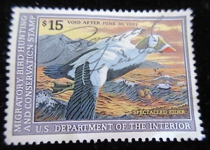 Vtg Spectacled Eider 1992 Migratory Bird Hunting and Conservation Stamp Used - Picture 1 of 2