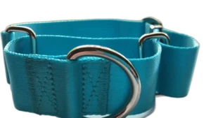 Collar de perro K-9 Beltz Martingala de nailon 1,5" 3,8 cm de ancho S, M, L azul aguamarina - Imagen 1 de 2