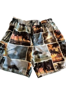 Ron Jon Surf Shop Board Shorts Swim Trunks Men Size XL Palm Tree Print Tropical - Picture 1 of 11